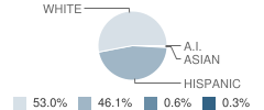 Shoshone Elementary School Student Race Distribution