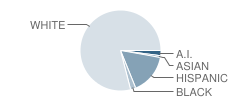 Rockford Elementary School Student Race Distribution