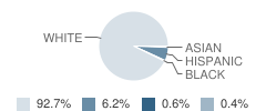 Central Elementary School Student Race Distribution