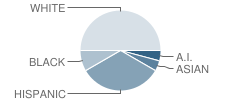 Patriot Center (At Matr) School Student Race Distribution