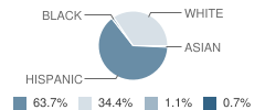 New Horizon Magnet School Student Race Distribution
