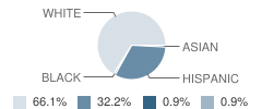 Willits Primary School Student Race Distribution