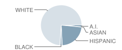 North Boone Middle School Student Race Distribution