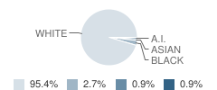 River Ridge Elementary School Student Race Distribution