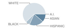 Kenyon Woods Middle School Student Race Distribution