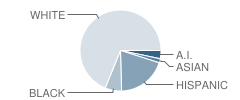 Westbrook School Student Race Distribution