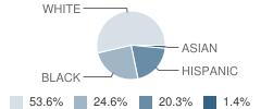 Illinois School for the Deaf Student Race Distribution