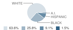 Kendall County Opportunity School Student Race Distribution