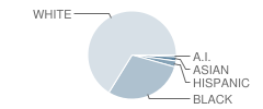 West Elementary School Student Race Distribution