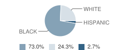 Allendale School Student Race Distribution