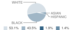 Belle Valley Elementary School-North Student Race Distribution
