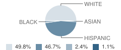 Lincoln Elementary School Student Race Distribution