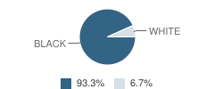 Elizabeth Morris Elementary School Student Race Distribution