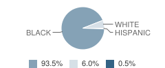 Emerson Elementary School Student Race Distribution