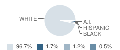 Eastview Elementary School Student Race Distribution