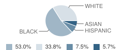 Carbondale Middle School Student Race Distribution