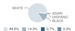 Carrier Mills-Stonefort Elementary School Student Race Distribution