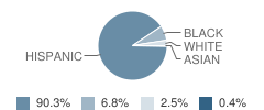 Logandale Middle School Student Race Distribution