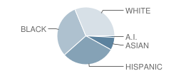 Newberry Elementary Math & Science Academy Student Race Distribution