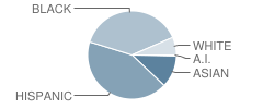 Senn High School Student Race Distribution