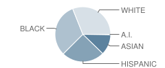 Lincoln Park High School Student Race Distribution