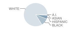 John A Renfro Elementary School Student Race Distribution