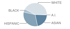 Independence School Student Race Distribution