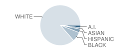 Gale School Student Race Distribution