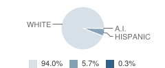 Grant Park Elementary School Student Race Distribution