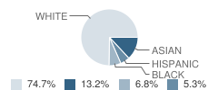 Elm Elementary School Student Race Distribution