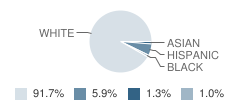 Hadley Middle School Student Race Distribution