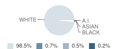 Jerseyville West Elementary School Student Race Distribution
