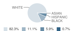 Jefferson Elementary School Student Race Distribution