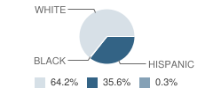 Lincoln Elementary School Student Race Distribution