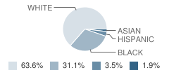 Zadok Casey Middle School Student Race Distribution