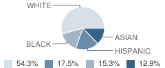 Bednarcik Junior High School Student Race Distribution