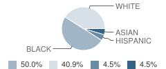 Peoria Developmental Center School Student Race Distribution