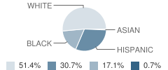 Plainfield Academy Student Race Distribution