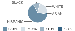 Spring Creek Elementary School Student Race Distribution