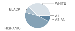 Douglas Macarthur Elementary School Student Race Distribution