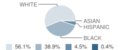 Fairview Elementary School Student Race Distribution