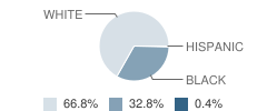 Pleasant Hill Elementary School Student Race Distribution