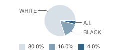 Northwest Academy Program Student Race Distribution