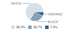 Transition School Student Race Distribution