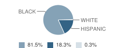 James Avant Elementary School Student Race Distribution