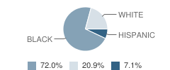 Legacy Academy of Excellence Charter Student Race Distribution