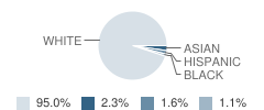 Center Grove Middle School North Student Race Distribution