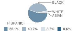 East Chicago Lighthouse School Student Race Distribution