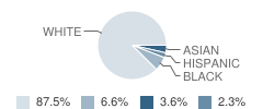 Fall Creek Elementary School Student Race Distribution