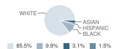 Renaissance Academy Charter Student Race Distribution